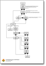 Authentication process flowchart